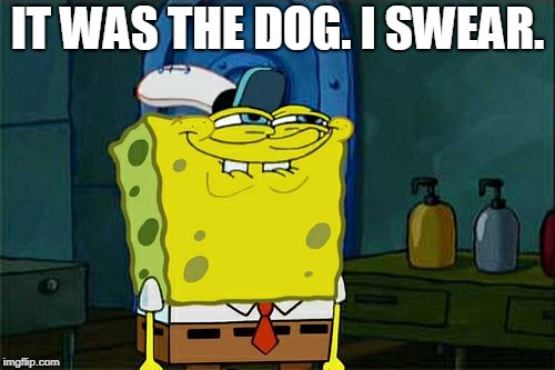 What's that smell? | IT WAS THE DOG. I SWEAR. | image tagged in memes,dont you squidward | made w/ Imgflip meme maker