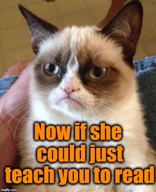 Grumpy Cat Meme | Now if she could just teach you to read | image tagged in memes,grumpy cat | made w/ Imgflip meme maker