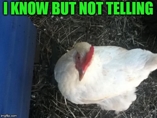 Angry Chicken Boss Meme | I KNOW BUT NOT TELLING | image tagged in memes,angry chicken boss | made w/ Imgflip meme maker