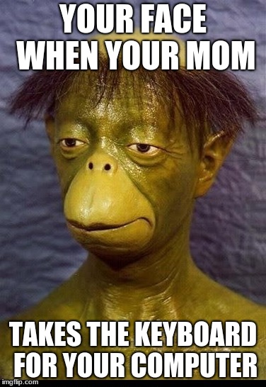 YOUR FACE WHEN YOUR MOM; TAKES THE KEYBOARD FOR YOUR COMPUTER | image tagged in memes | made w/ Imgflip meme maker
