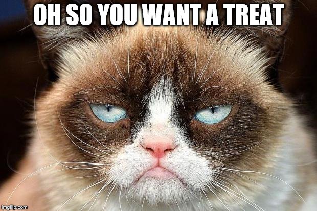 Grumpy Cat Not Amused Meme | OH SO YOU WANT A TREAT | image tagged in memes,grumpy cat not amused,grumpy cat | made w/ Imgflip meme maker