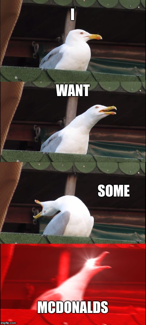 Inhaling Seagull | I; WANT; SOME; MCDONALDS | image tagged in memes,inhaling seagull | made w/ Imgflip meme maker
