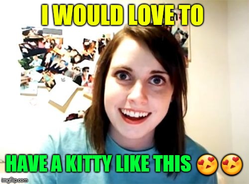 Overly Attached Girlfriend Meme | I WOULD LOVE TO HAVE A KITTY LIKE THIS  | image tagged in memes,overly attached girlfriend | made w/ Imgflip meme maker