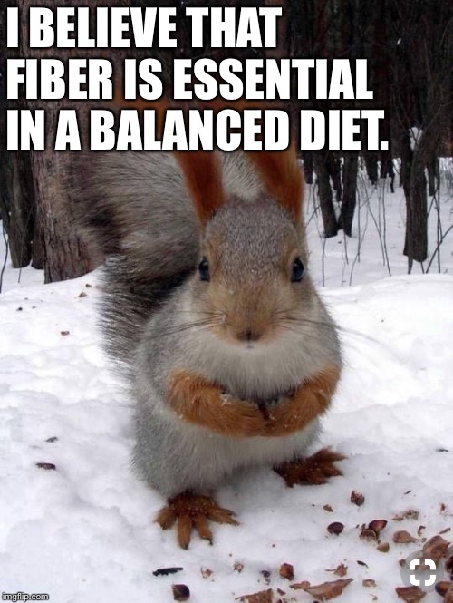 I BELIEVE THAT FIBER IS ESSENTIAL IN A BALANCED DIET. | made w/ Imgflip meme maker