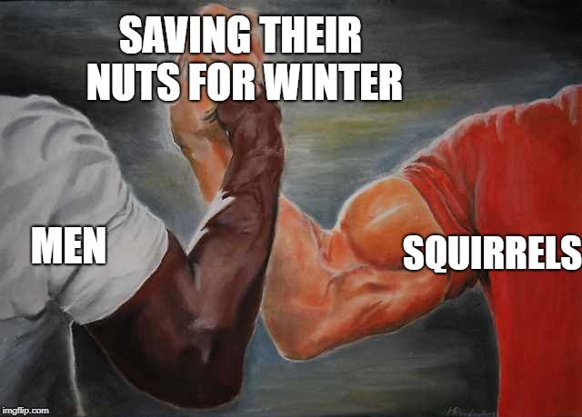 Arm wrestling meme template | SAVING THEIR NUTS FOR WINTER; SQUIRRELS; MEN | image tagged in arm wrestling meme template | made w/ Imgflip meme maker