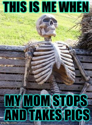 Waiting Skeleton | THIS IS ME WHEN; MY MOM STOPS AND TAKES PICS | image tagged in memes,waiting skeleton | made w/ Imgflip meme maker