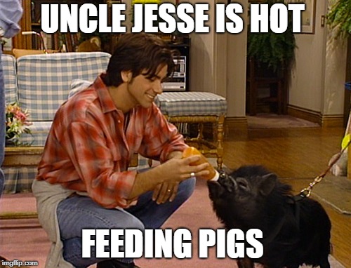 UNCLE JESSE IS HOT; FEEDING PIGS | image tagged in the most interesting man in the world | made w/ Imgflip meme maker