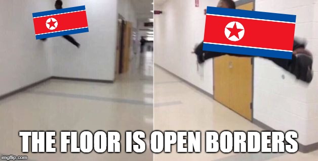The floor is | THE FLOOR IS OPEN BORDERS | image tagged in the floor is | made w/ Imgflip meme maker