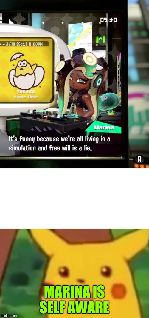 Free will is a lie | MARINA IS SELF AWARE | image tagged in marina,memes | made w/ Imgflip meme maker