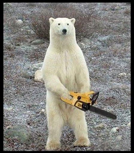 polar bear chainsaw Blank Meme Template