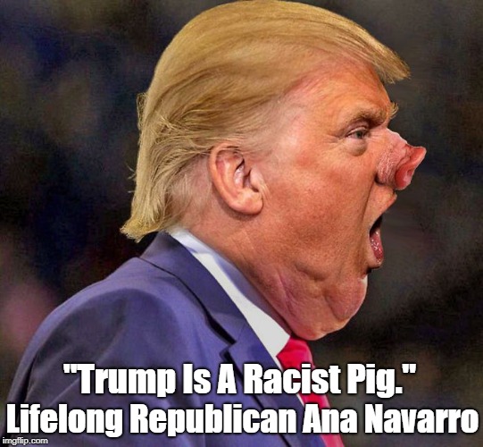 "Trump Is A Racist Pig." Lifelong Republican Ana Navarro | made w/ Imgflip meme maker
