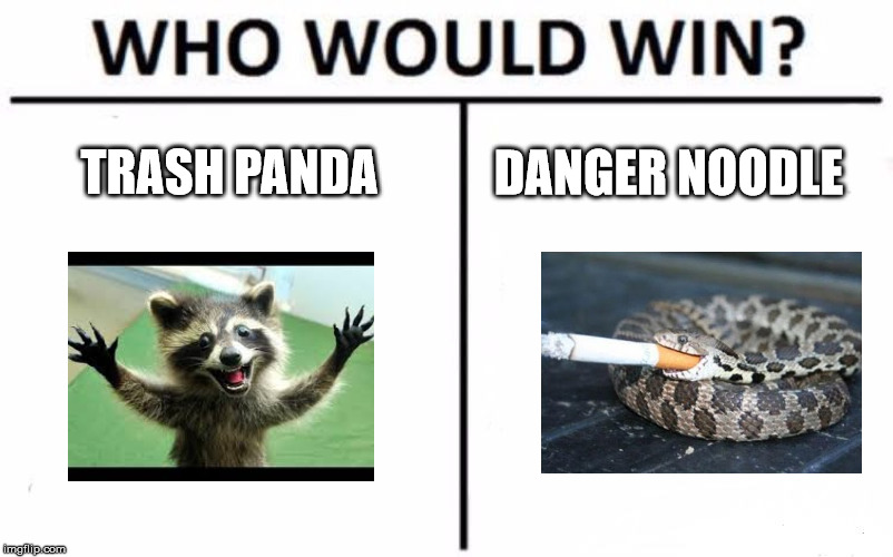 Who Would Win? | TRASH PANDA; DANGER NOODLE | image tagged in memes,who would win | made w/ Imgflip meme maker