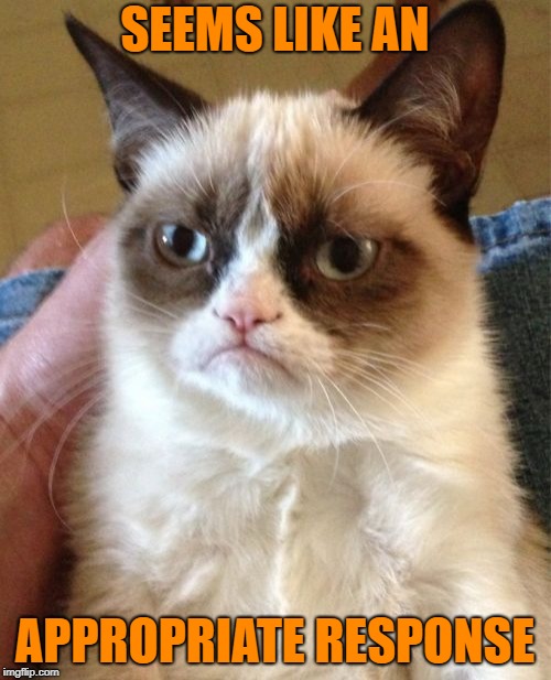 Grumpy Cat Meme | SEEMS LIKE AN APPROPRIATE RESPONSE | image tagged in memes,grumpy cat | made w/ Imgflip meme maker