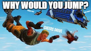 Common Sense | WHY WOULD YOU JUMP? | image tagged in fortnite | made w/ Imgflip meme maker