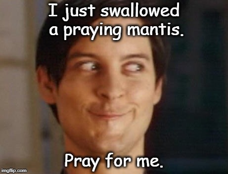 . | I just swallowed a praying mantis. Pray for me. | image tagged in memes,spiderman peter parker,praying mantis,pray | made w/ Imgflip meme maker