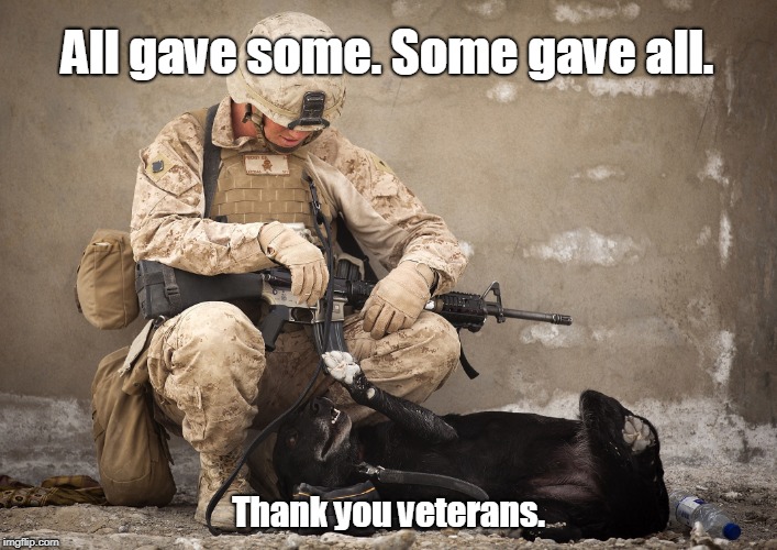 All gave some. Some gave all. Thank you veterans. | image tagged in veterans day,veterans | made w/ Imgflip meme maker