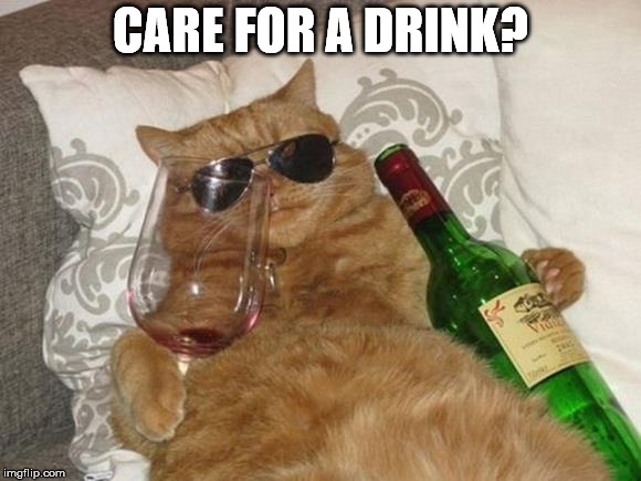 Funny Cat Birthday | CARE FOR A DRINK? | image tagged in funny cat birthday | made w/ Imgflip meme maker