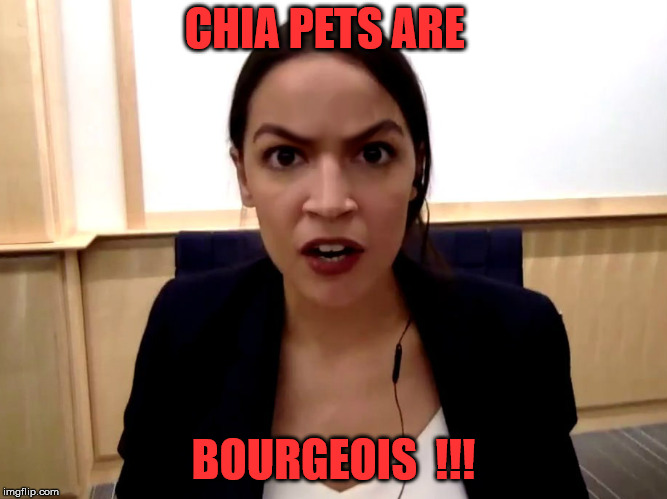 CHIA PETS ARE BOURGEOIS  !!! | made w/ Imgflip meme maker