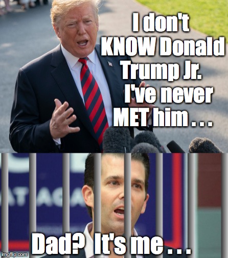 I don't KNOW Donald Trump Jr.  


I've never MET him . . . Dad?  It's me . . . | made w/ Imgflip meme maker