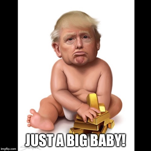 Trump Baby | JUST A BIG BABY! | image tagged in trump baby | made w/ Imgflip meme maker
