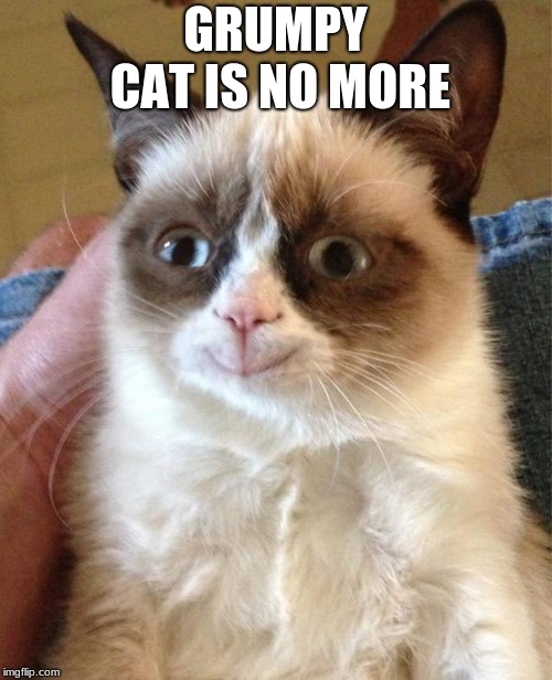 Grumpy Cat Happy Meme | GRUMPY CAT IS NO MORE | image tagged in memes,grumpy cat happy,grumpy cat | made w/ Imgflip meme maker
