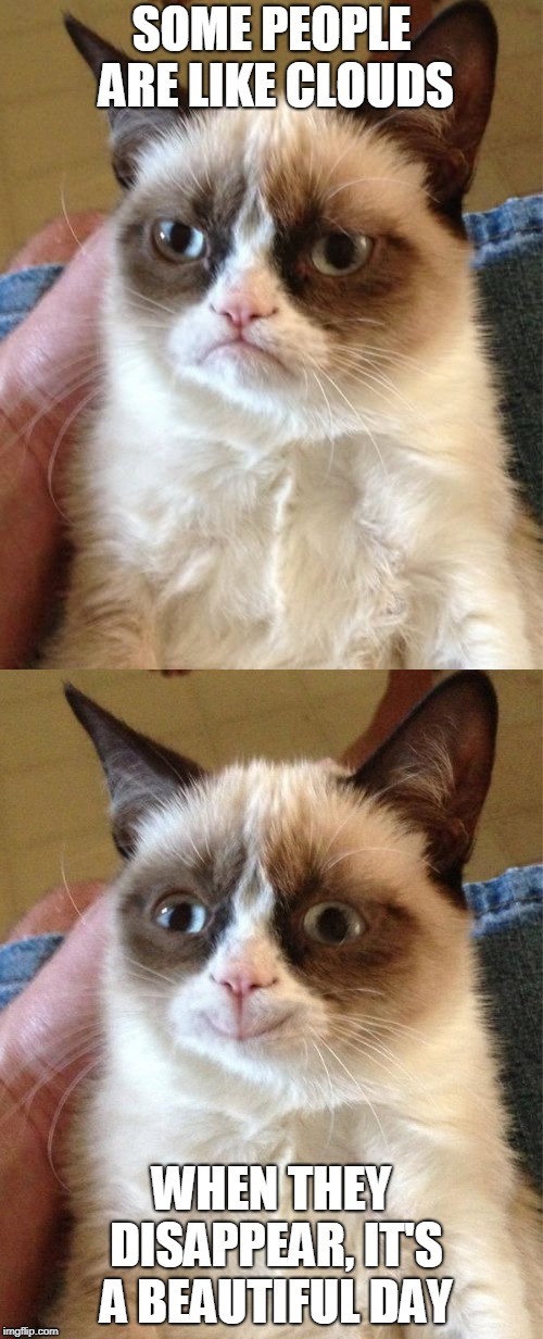 Grumpy cat  | SOME PEOPLE ARE LIKE CLOUDS; WHEN THEY DISAPPEAR, IT'S A BEAUTIFUL DAY | image tagged in grumpy cat | made w/ Imgflip meme maker