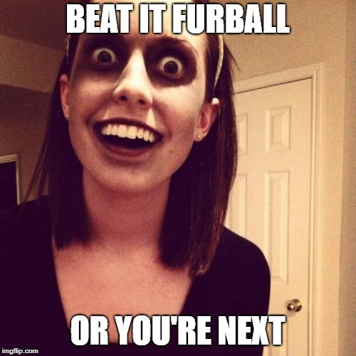 Zombie Overly Attached Girlfriend Meme | BEAT IT FURBALL OR YOU'RE NEXT | image tagged in memes,zombie overly attached girlfriend | made w/ Imgflip meme maker