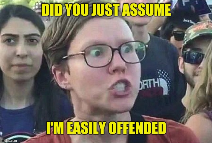 Triggered Liberal | DID YOU JUST ASSUME I'M EASILY OFFENDED | image tagged in triggered liberal | made w/ Imgflip meme maker