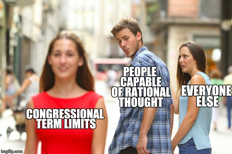Distracted Boyfriend Meme | CONGRESSIONAL TERM LIMITS PEOPLE CAPABLE OF RATIONAL THOUGHT EVERYONE ELSE | image tagged in memes,distracted boyfriend | made w/ Imgflip meme maker