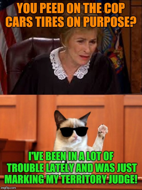 Judge Judy and The Cat | YOU PEED ON THE COP CARS TIRES ON PURPOSE? I'VE BEEN IN A LOT OF TROUBLE LATELY AND WAS JUST MARKING MY TERRITORY JUDGE! | image tagged in judge judy and the cat | made w/ Imgflip meme maker