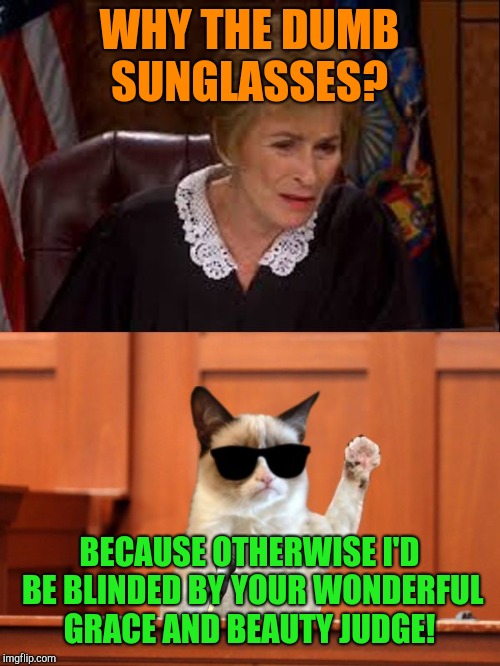 Flattery helps!  | WHY THE DUMB SUNGLASSES? BECAUSE OTHERWISE I'D BE BLINDED BY YOUR WONDERFUL GRACE AND BEAUTY JUDGE! | image tagged in judge judy and the cat,jail | made w/ Imgflip meme maker