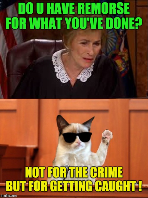 Judge Judy and The Cat | DO U HAVE REMORSE FOR WHAT YOU'VE DONE? NOT FOR THE CRIME BUT FOR GETTING CAUGHT ! | image tagged in judge judy and the cat | made w/ Imgflip meme maker