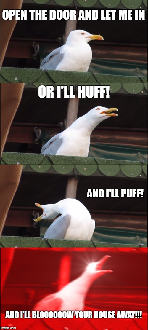 Inhaling Seagull Meme | OPEN THE DOOR AND LET ME IN; OR I'LL HUFF! AND I'LL PUFF! AND I'LL BLOOOOOOW YOUR HOUSE AWAY!!! | image tagged in memes,inhaling seagull | made w/ Imgflip meme maker