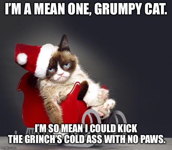 Grumpy Cat Christmas HD | I’M A MEAN ONE, GRUMPY CAT. I’M SO MEAN I COULD KICK THE GRINCH’S COLD ASS WITH NO PAWS. | image tagged in grumpy cat christmas hd | made w/ Imgflip meme maker