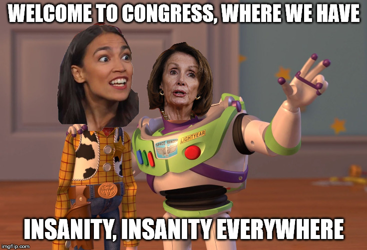 Twp peas in a pod | WELCOME TO CONGRESS, WHERE WE HAVE; INSANITY, INSANITY EVERYWHERE | image tagged in buzz lightyear | made w/ Imgflip meme maker