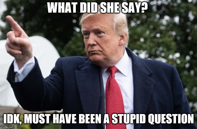 Donald Trump talks to media | WHAT DID SHE SAY? IDK, MUST HAVE BEEN A STUPID QUESTION | image tagged in donal trump | made w/ Imgflip meme maker
