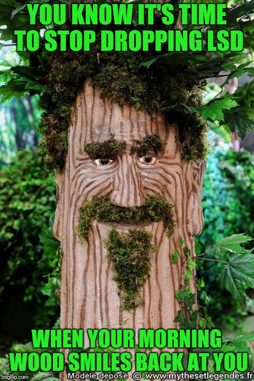 The Truly Enchanted Forest | YOU KNOW IT'S TIME TO STOP DROPPING LSD; WHEN YOUR MORNING WOOD SMILES BACK AT YOU | image tagged in morning wood,lsd,creepy,creepy smile,tree,forest | made w/ Imgflip meme maker