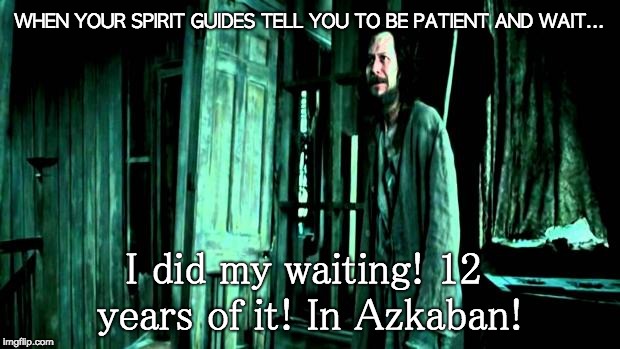 Sirius black | WHEN YOUR SPIRIT GUIDES TELL YOU TO BE PATIENT AND WAIT... I did my waiting! 12 years of it! In Azkaban! | image tagged in sirius black | made w/ Imgflip meme maker