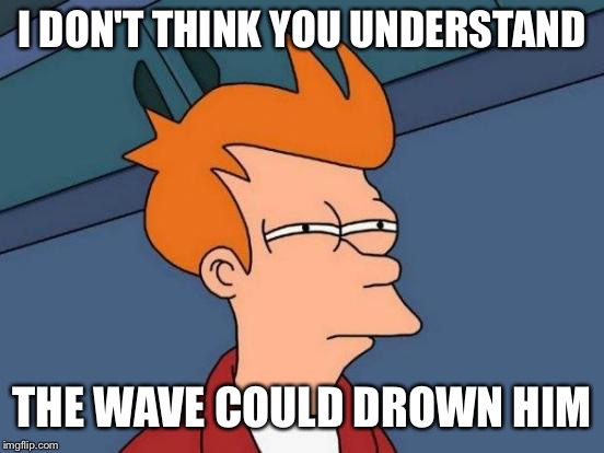 Futurama Fry Meme | I DON'T THINK YOU UNDERSTAND THE WAVE COULD DROWN HIM | image tagged in memes,futurama fry | made w/ Imgflip meme maker