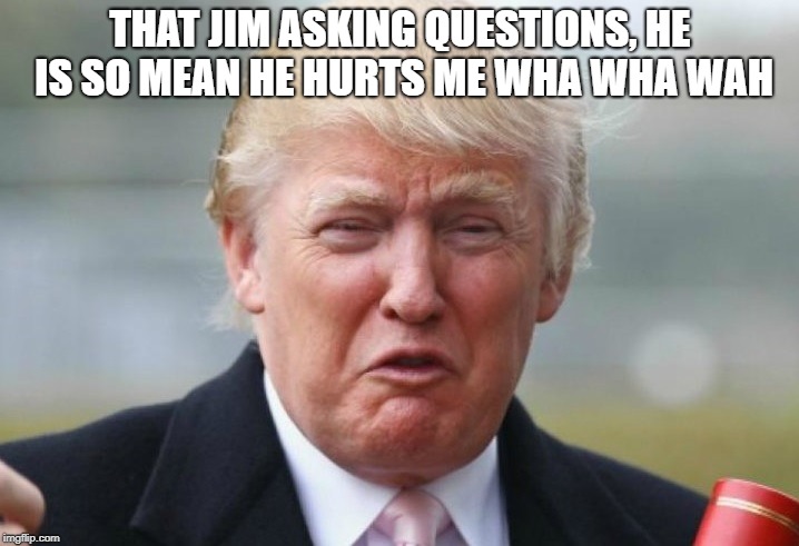 Trump Crybaby | THAT JIM ASKING QUESTIONS, HE IS SO MEAN HE HURTS ME WHA WHA WAH | image tagged in trump crybaby | made w/ Imgflip meme maker