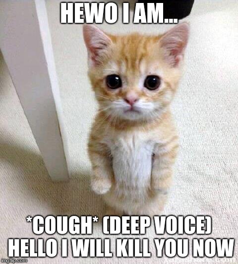 Cute Cat | HEWO I AM... *COUGH* (DEEP VOICE) HELLO I WILL KILL YOU NOW | image tagged in memes,cute cat | made w/ Imgflip meme maker