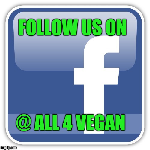 Follow us on facebook at All 4 Vegan | FOLLOW US ON; @ ALL 4 VEGAN | image tagged in facebook,all4vegan,vegan,veganism | made w/ Imgflip meme maker