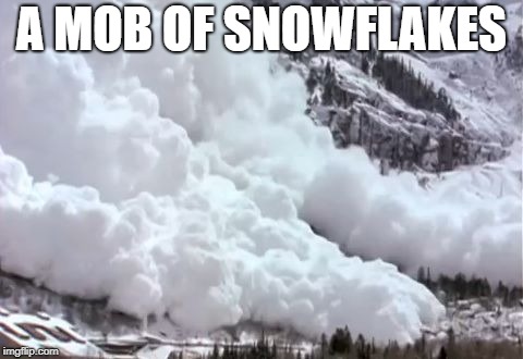 Avalanche | A MOB OF SNOWFLAKES | image tagged in avalanche | made w/ Imgflip meme maker
