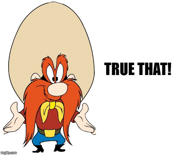 TRUE THAT! | image tagged in yosemite sam | made w/ Imgflip meme maker