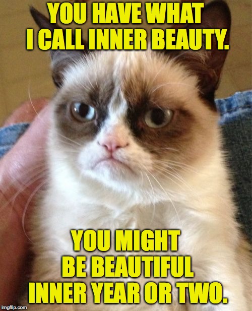 Grumpy Cat | YOU HAVE WHAT I CALL INNER BEAUTY. YOU MIGHT BE BEAUTIFUL INNER YEAR OR TWO. | image tagged in memes,grumpy cat,inner beauty | made w/ Imgflip meme maker