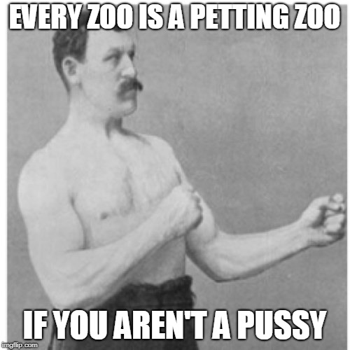 Overly Manly Man Meme | EVERY ZOO IS A PETTING ZOO IF YOU AREN'T A PUSSY | image tagged in memes,overly manly man | made w/ Imgflip meme maker