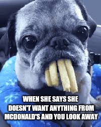It happens every time | WHEN SHE SAYS SHE DOESN'T WANT ANYTHING FROM MCDONALD'S AND YOU LOOK AWAY | image tagged in fry thief | made w/ Imgflip meme maker
