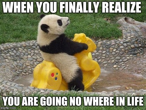 The Panda | WHEN YOU FINALLY REALIZE; YOU ARE GOING NO WHERE IN LIFE | image tagged in panda | made w/ Imgflip meme maker