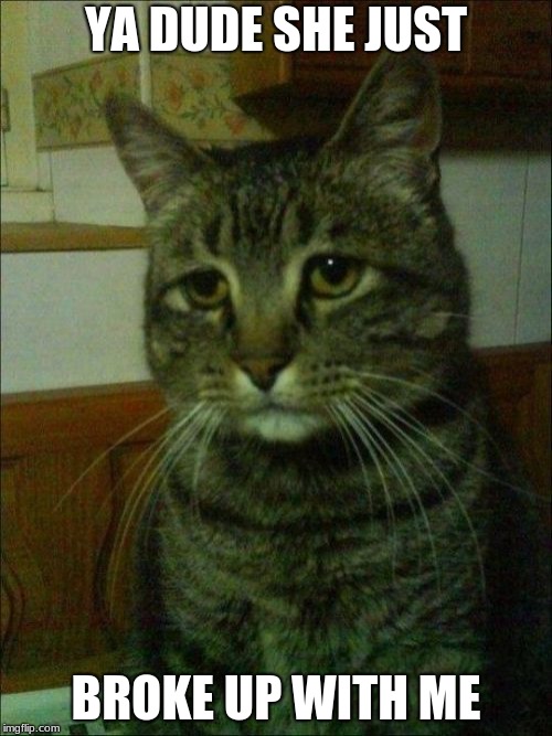 Depressed Cat | YA DUDE SHE JUST; BROKE UP WITH ME | image tagged in memes,depressed cat | made w/ Imgflip meme maker