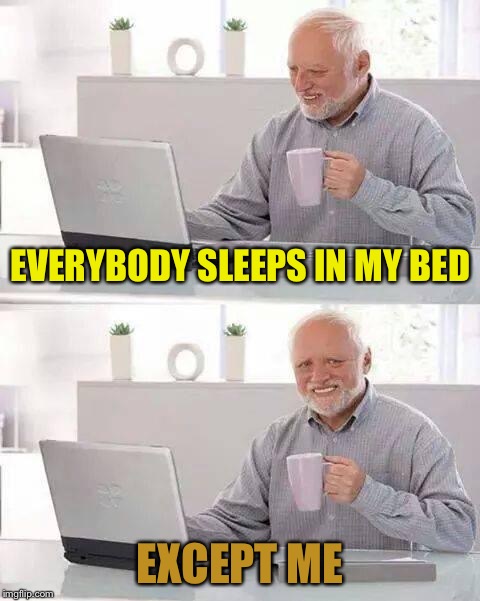 Hide the Pain Harold Meme | EVERYBODY SLEEPS IN MY BED EXCEPT ME | image tagged in memes,hide the pain harold | made w/ Imgflip meme maker